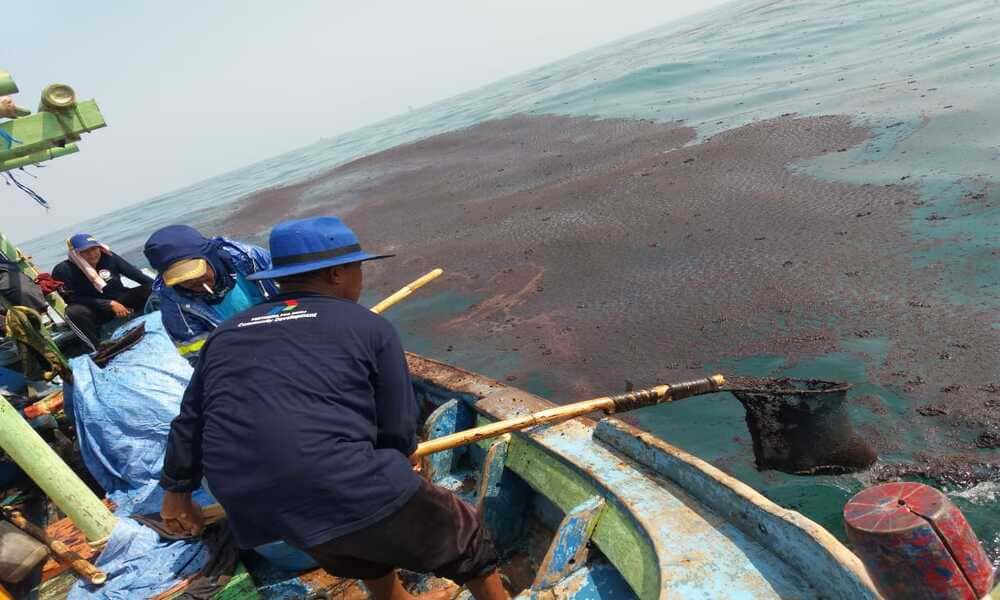 Ekosistem Laut Terancam Punah Akibat Tumpahan Minyak