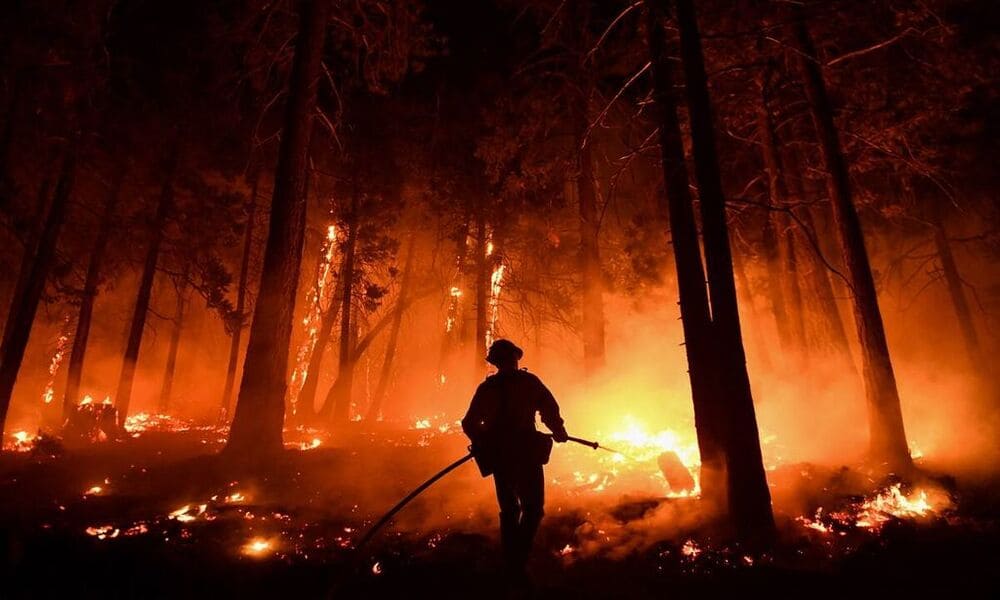 Kebakaran Hutan Amerika Serikat Yang Memusnahkan