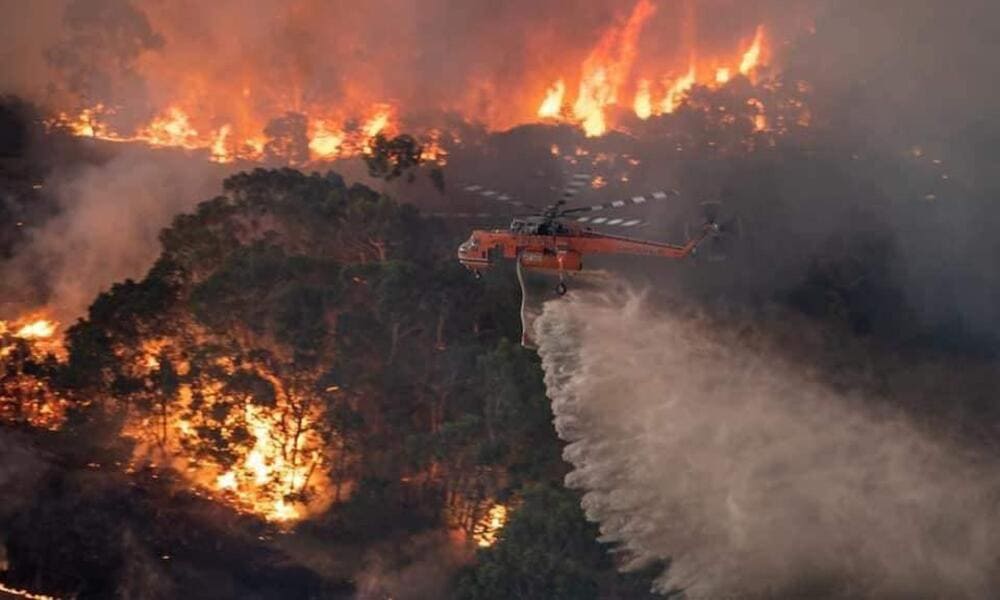 Kebakaran Hutan Di Australia Tahun 2020